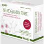 Neuroglandin Forte 36kps