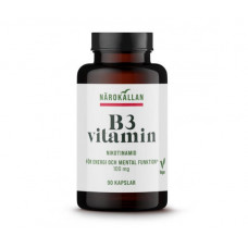 B3 Vitamiini 100mg 90kaps