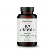 B2-vitamiini 100 mg 90 kaps 