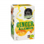 Ginger & Lemon Royal Green tee 16pss luomu