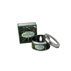 Candle Fragrance Eucalyptus 70g