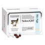 SelenoQ10 120 tabl + 120 kaps