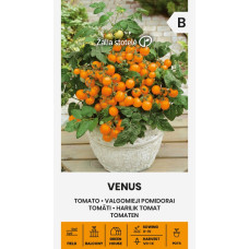 Venus kirsikkatomaatti (mini)